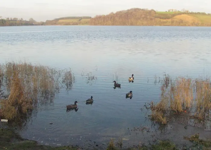 Grangeview House Bed & Breakfast